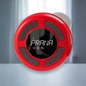 Рекуператор Prana (Прана) 150 Standart на стіні кімнати